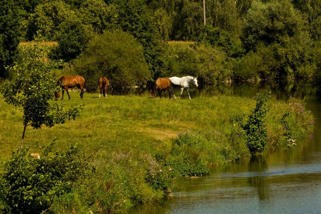 Chalet Am Bach Bad Birnbach Εξωτερικό φωτογραφία